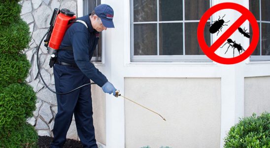 Talas Böcek İlaçlama böcek ilaçlama ve haşere kontrolü — ilaclama-tr.com